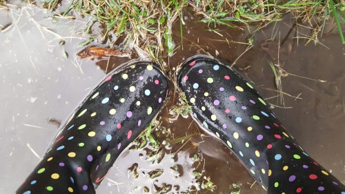 wp-1440374764030 image