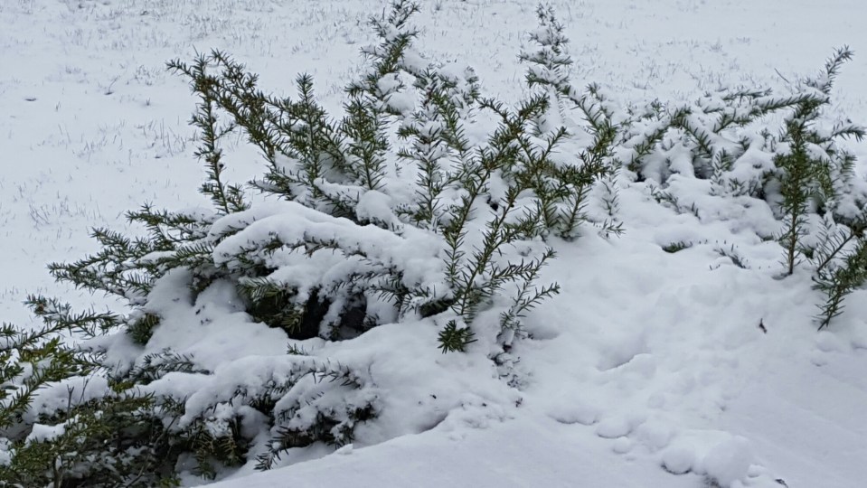 20160410_131155.jpg image