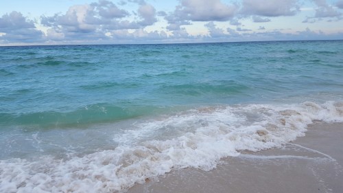 wp-1464867194911 image