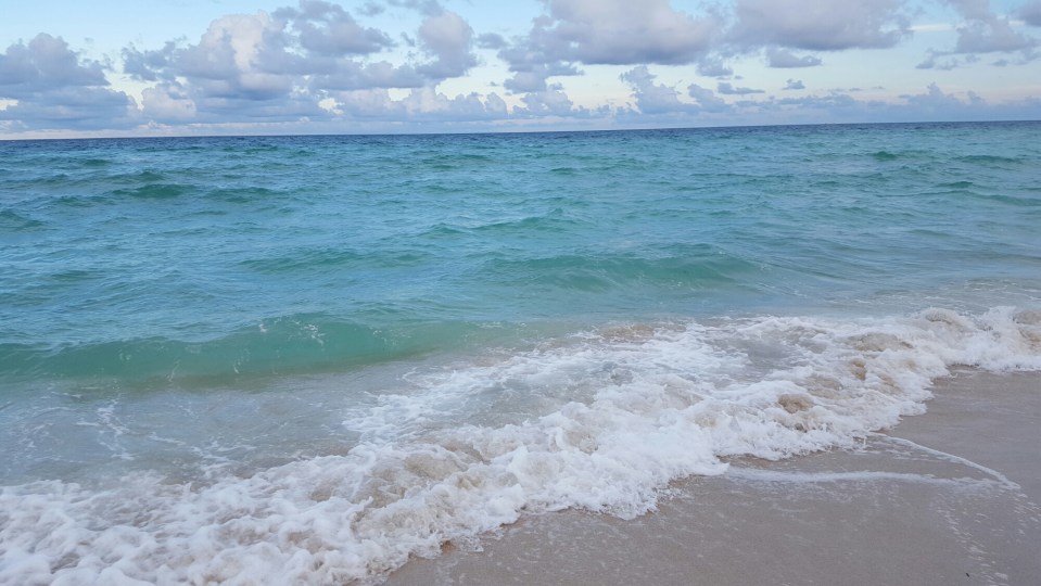 wp-1464867194911 image