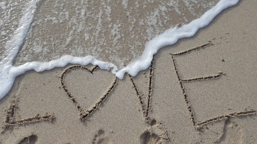 wp-1465129000612 image