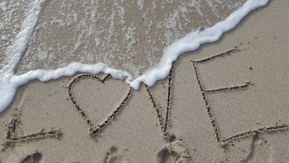 wp-1465129000612 image