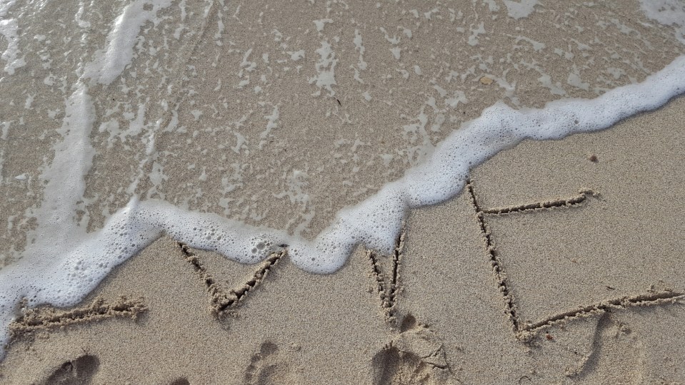 wp-1465129032620 image