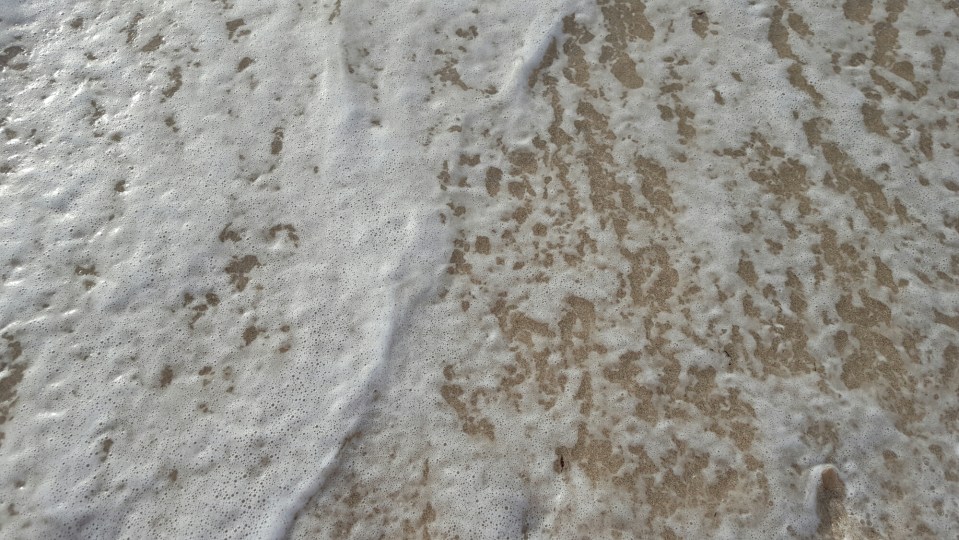 wp-1465129123548 image