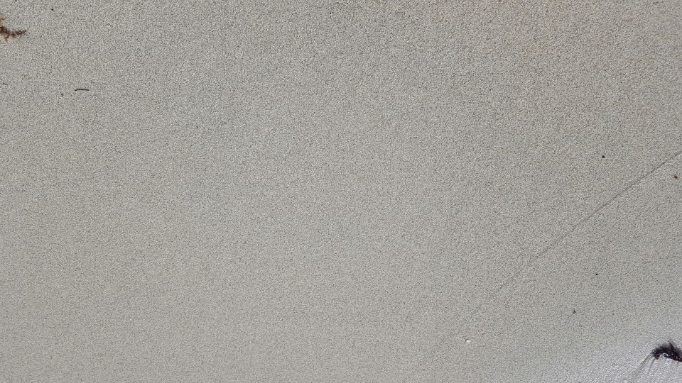 wp-1465129191049 image